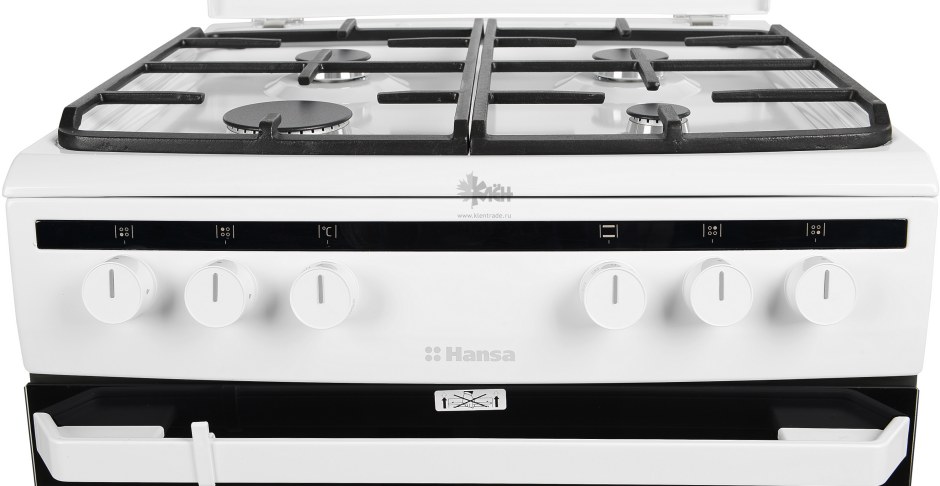 Комбинированная плита Hansa fcmw68041