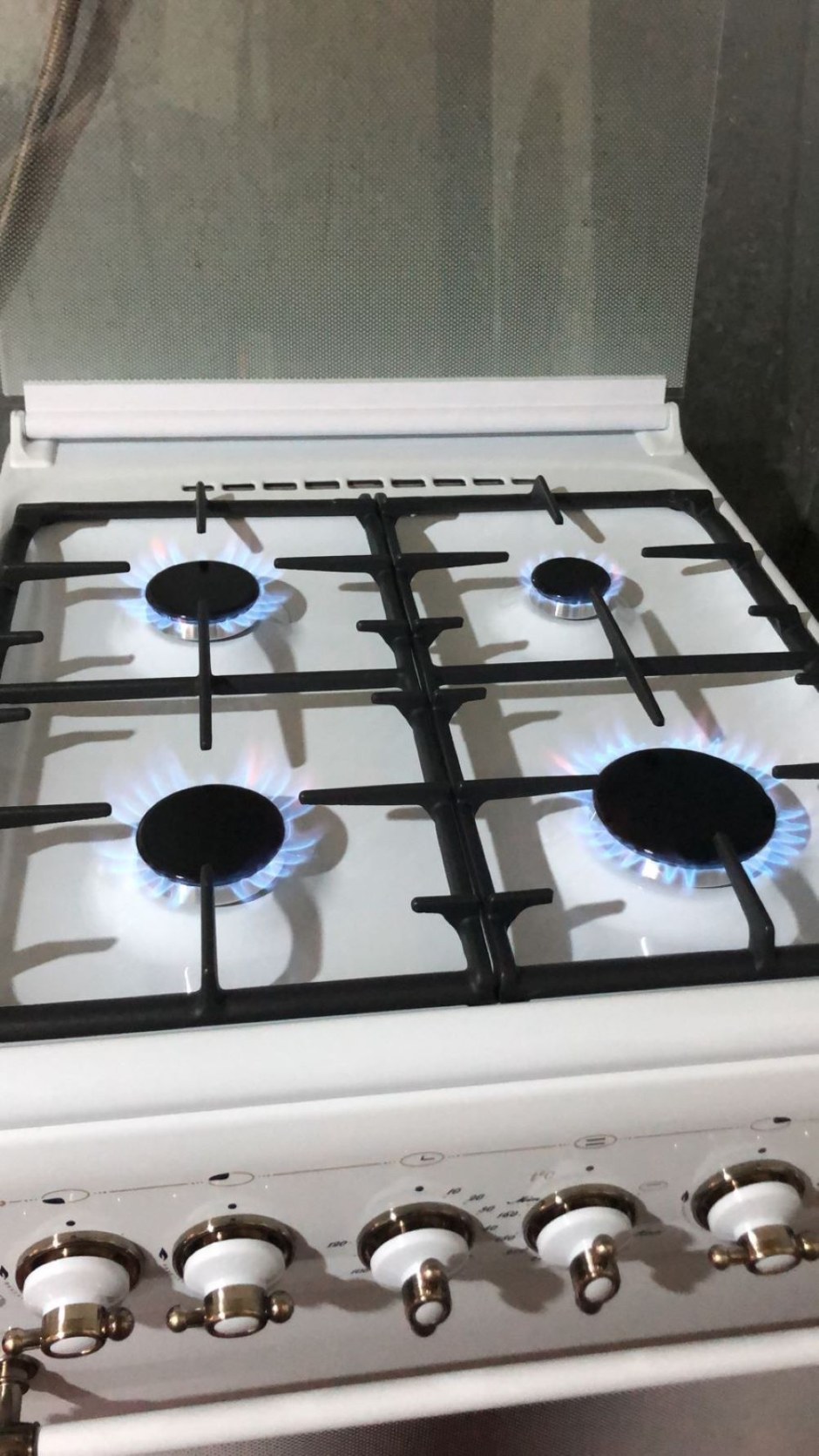 Газовая плита Гефест 5100-02 0004