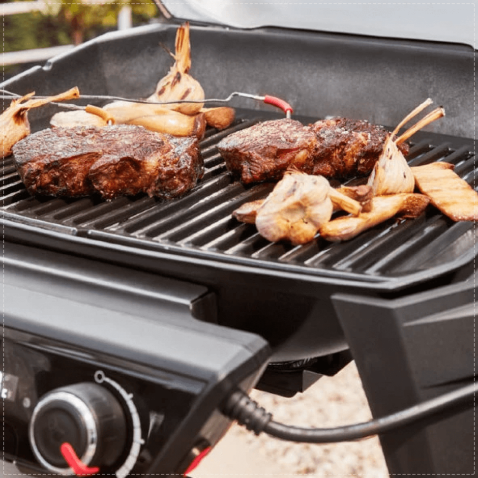 Weber Pulse 2000