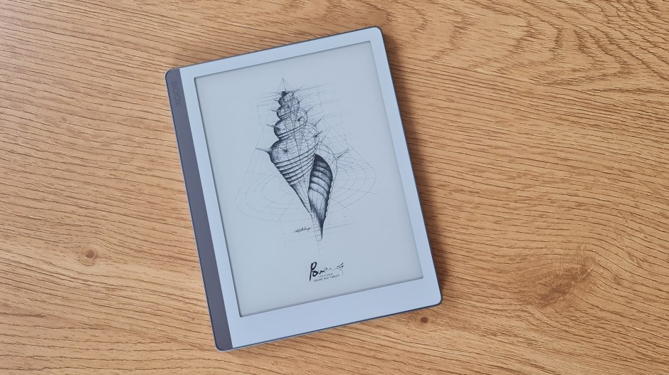 Onyx BOOX Leaf Grey