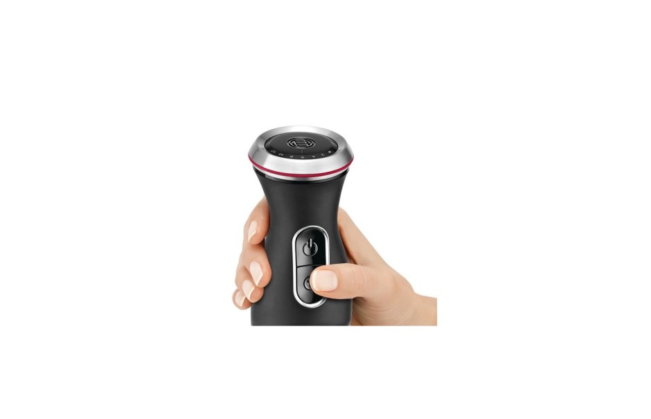 Погружной блендер Bosch MSM 88166