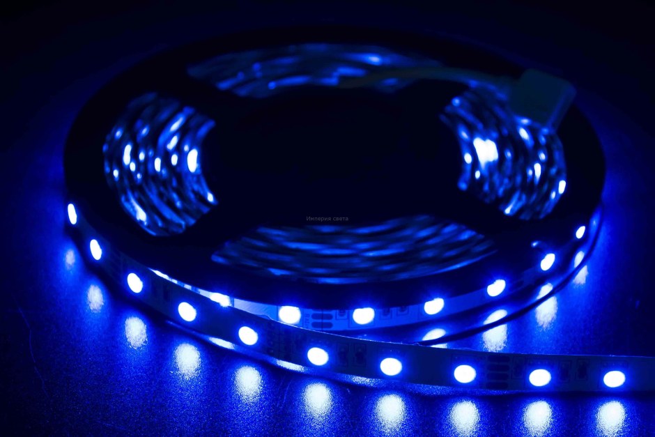 Led лента SMD 2835/60 Smart buy-ip20-4.8w/Blue 5 м (SBL-ip20-4_8-BL)
