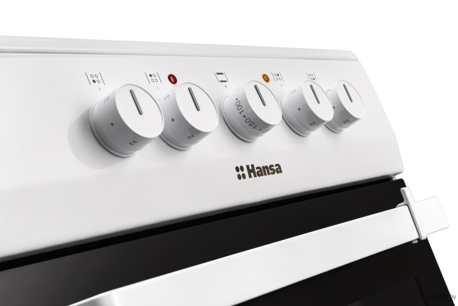 Hansa fcew53001